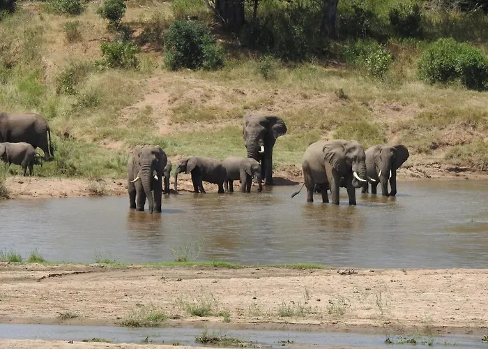 Sonop In Marloth Park