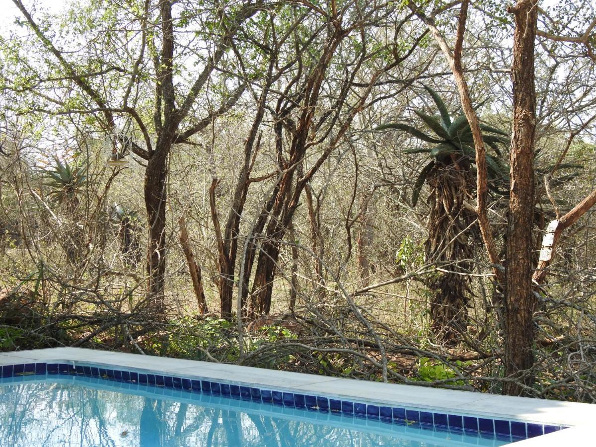 Sonop In * Marloth Park