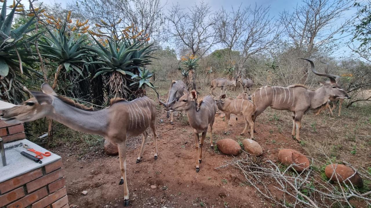 Sonop In * Marloth Park