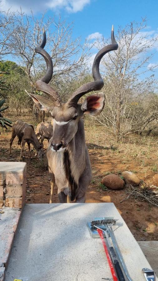 Sonop In Holiday home Marloth Park