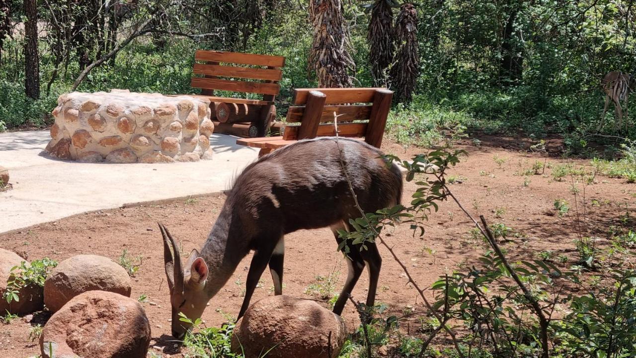 Sonop In Marloth Park