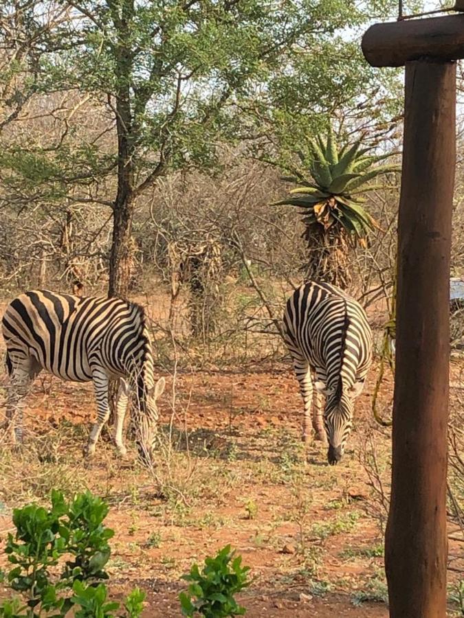 Sonop In * Marloth Park